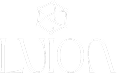 logo_luion_10anos_12 3